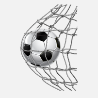 Palloni calcio